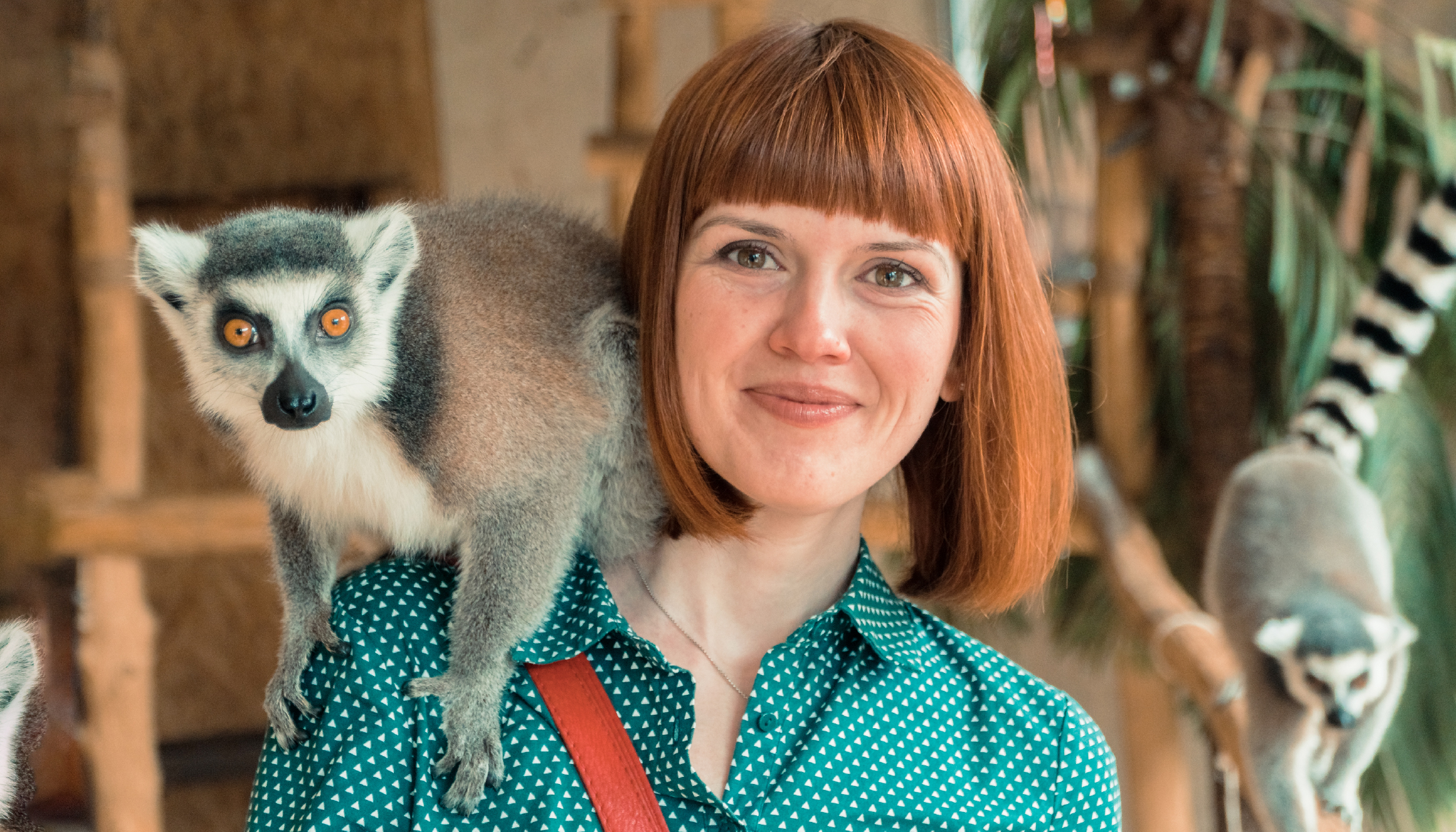 Curso Técnico en Fauna Silvestre (General)