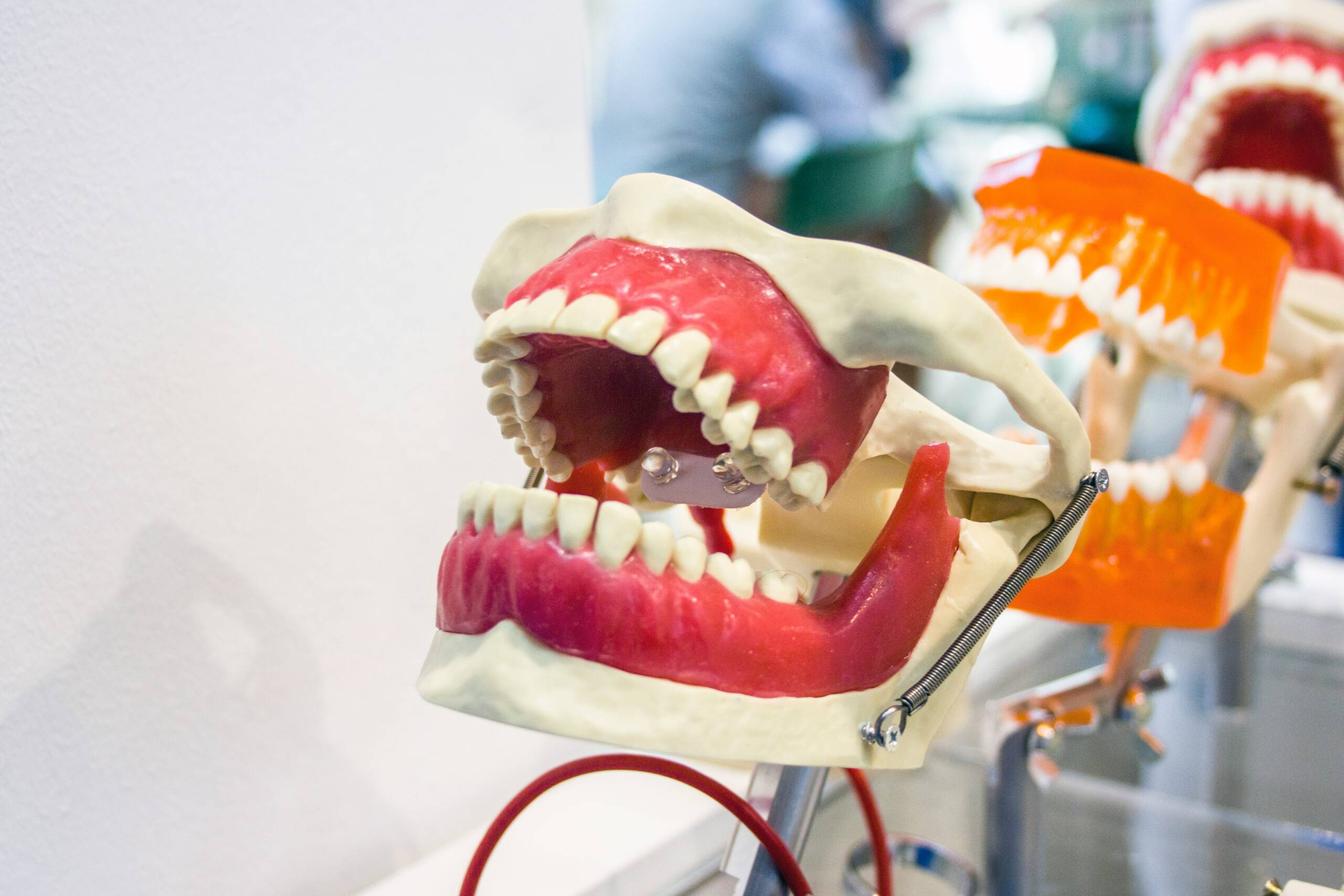 Cuánto Cobra un Higienista Dental: Factores, Salarios y Oportunidades